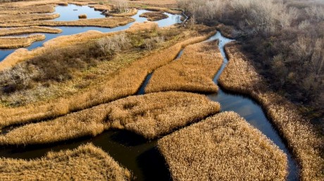 Szerelmes állatvilág - ökotúra lesz szombaton a Sóstón